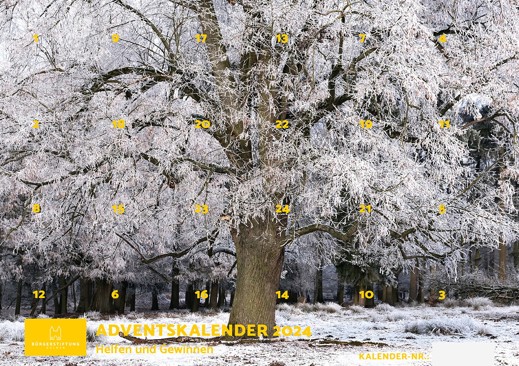 Der Adventskalender 2024 ist da.